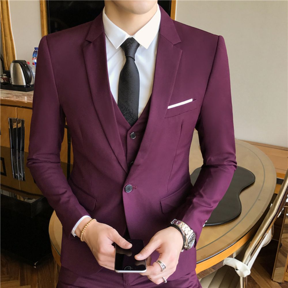 Costume Trois Pièces Hommes Affaires Décontracté Vêtements Professionnels Travail Professionnel Auto-culture Marié Meilleur Homme Mariage