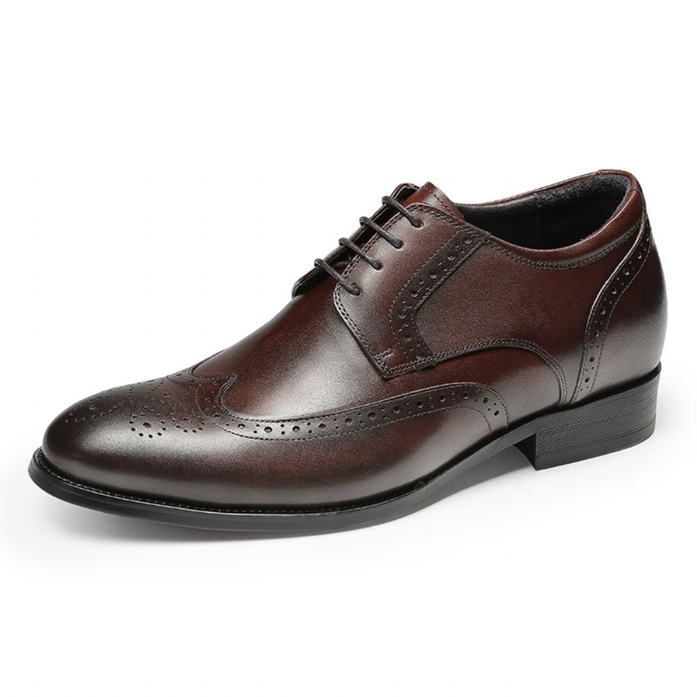 2024 Chaussures En Cuir Pour Hommes Oxford Britannique D'affaires Formelles Rehaussées