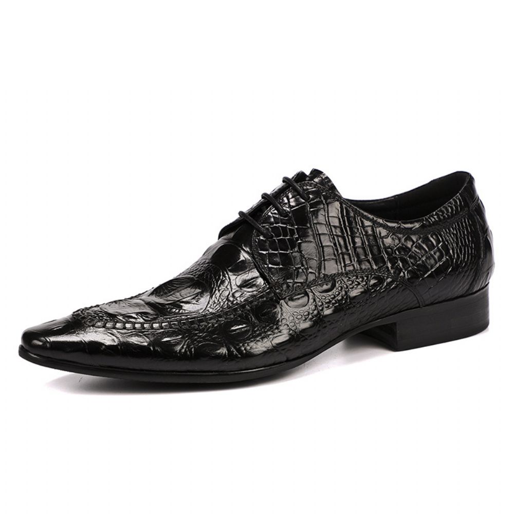 Chaussures En Cuir Pour Hommes À Lacets Décontractées D'affaires La Mode Surface Douce Mariage Motif Crocodile Formelles Vachette