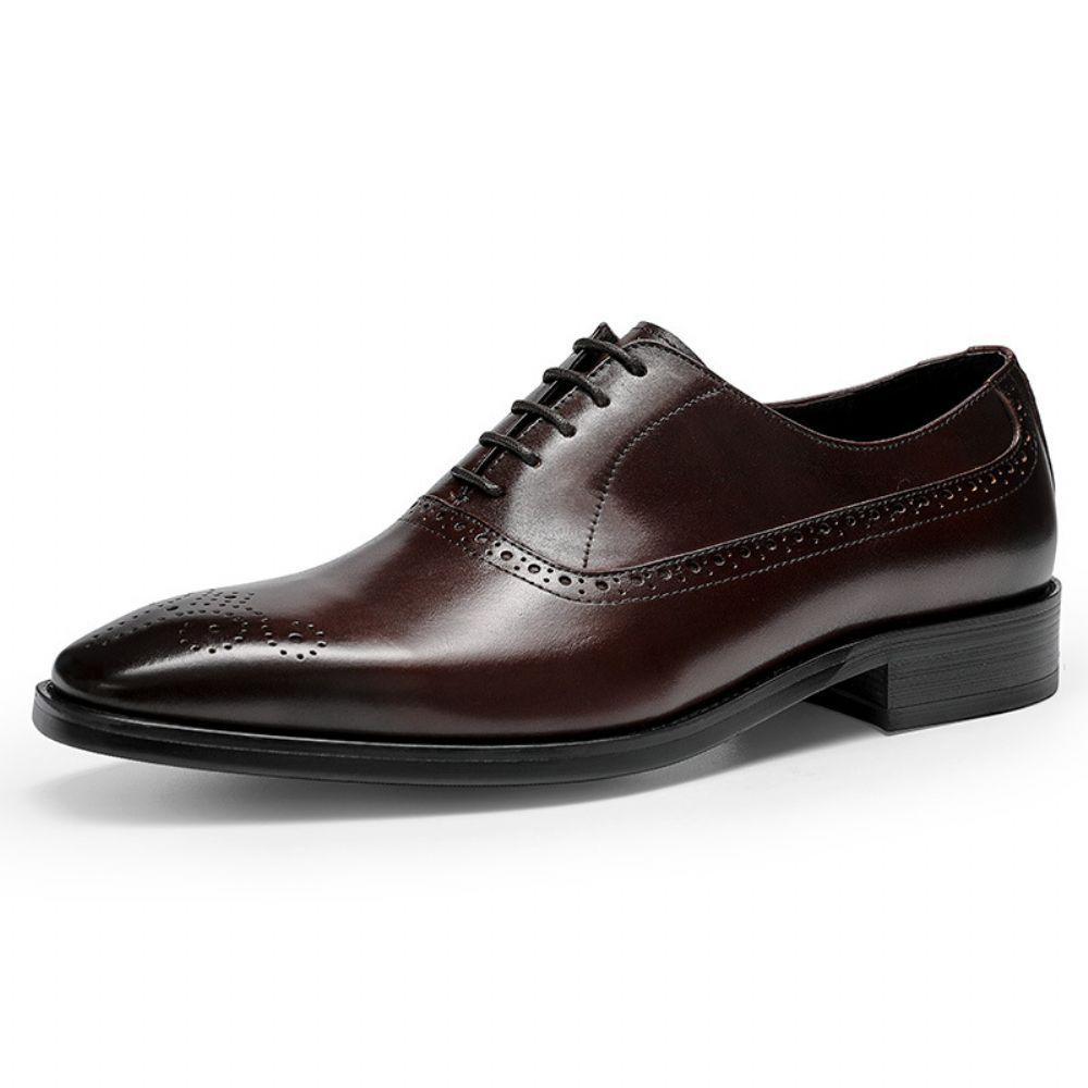 Chaussures En Cuir Pour Hommes Quatre Saisons À Lacets Vachette Oxford Mode All-match Jeunes