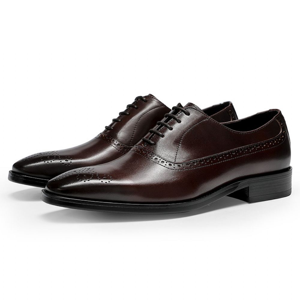 Chaussures En Cuir Pour Hommes Quatre Saisons À Lacets Vachette Oxford Mode All-match Jeunes