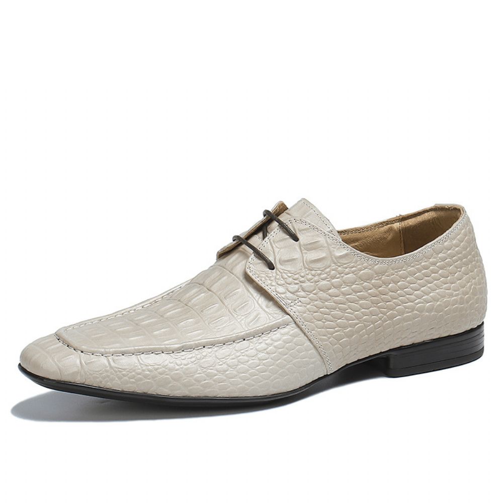 Chaussures En Cuir Pour Hommes Véritable Motif Crocodile Mariage Surface Douce Printemps Et Automne Affaires Formelles Britanniques À La Mode