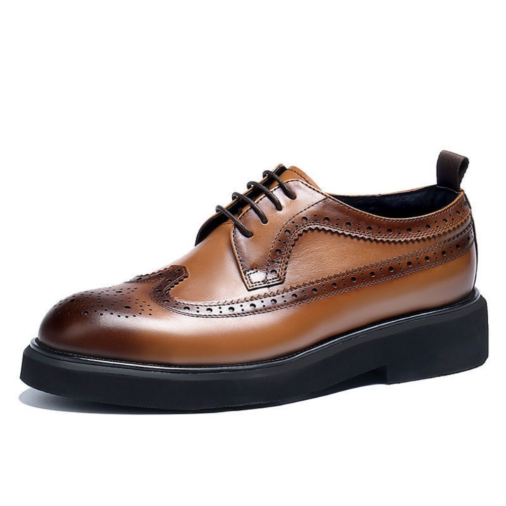 Chaussures En Cuir À Lacets Pour Hommes Robe D'affaires Vachette Gravé Léger Respirant Confortable Bureau Rétro Derby