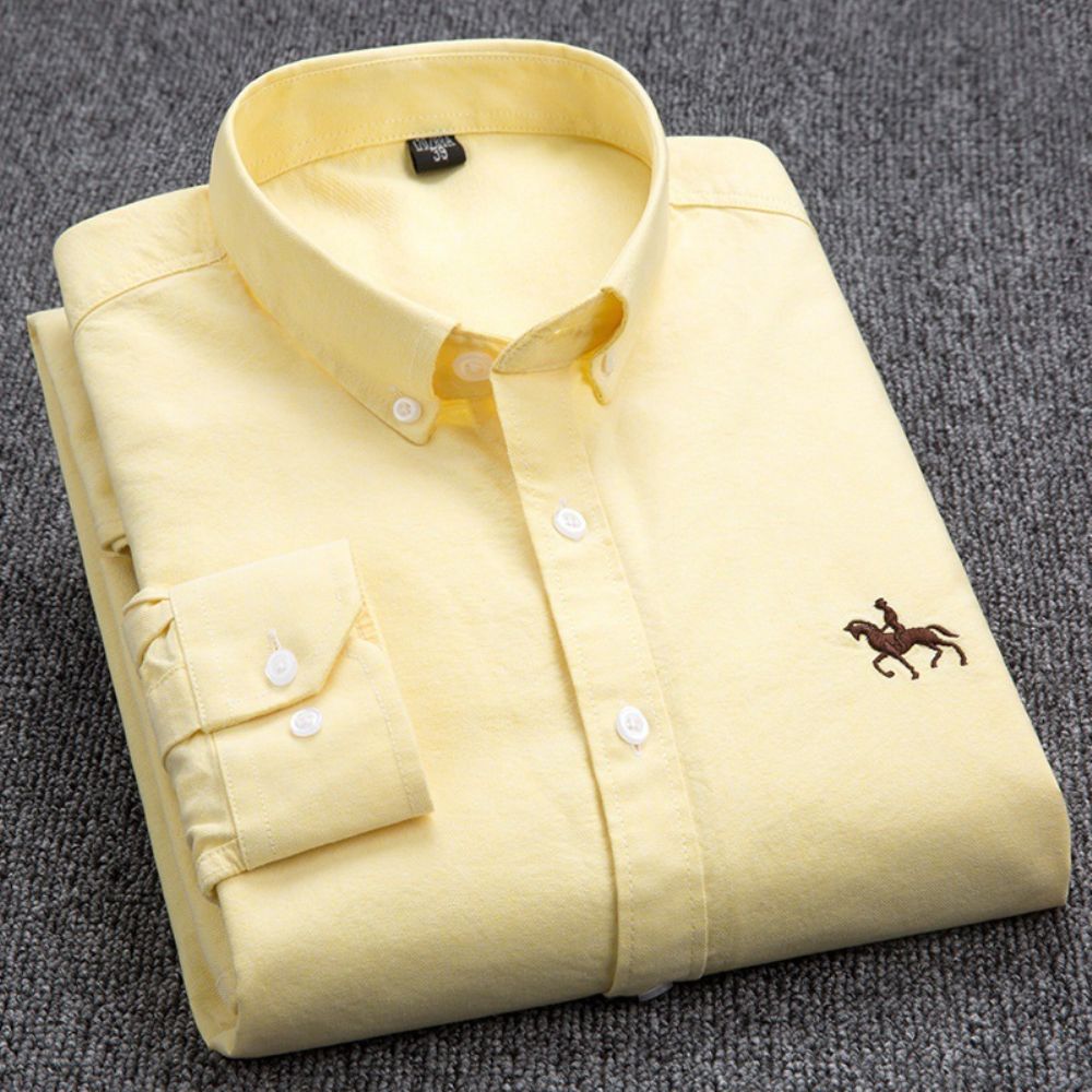 Chemise Oxford À Manches Longues En Coton Pour Hommes Jeunes Et D'âge Moyen Broderie