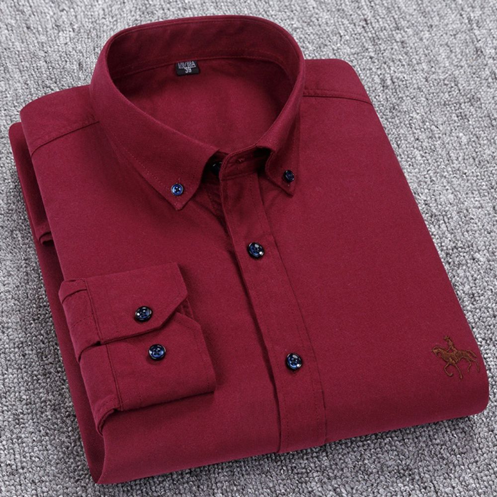 Chemise Oxford À Manches Longues En Coton Pour Hommes Jeunes Et D'âge Moyen Broderie