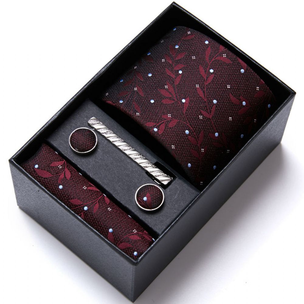 Ensemble Coffret Cadeau Cravate Pour Hommes Formel Affaires Mariage Travail Groupe Chemise Accessoires Été